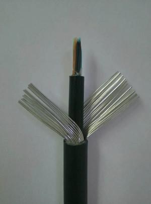 武邑防水防潮通信電纜HYAT與其他通信線纜的綜合對(duì)比與應(yīng)用指南